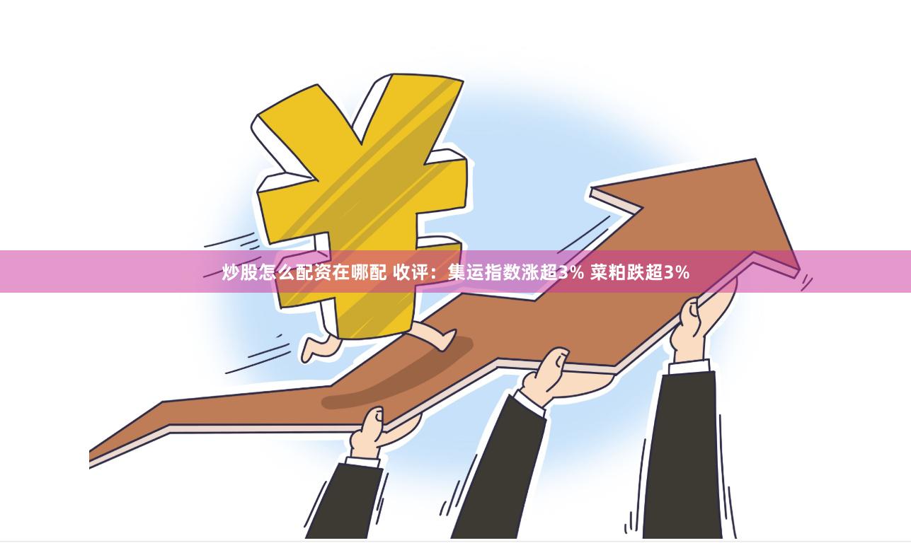炒股怎么配资在哪配 收评：集运指数涨超3% 菜粕跌超3%