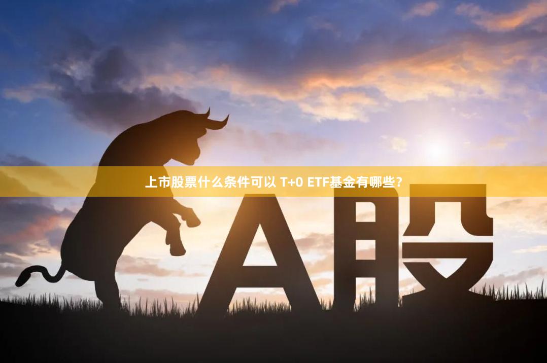 上市股票什么条件可以 T+0 ETF基金有哪些？