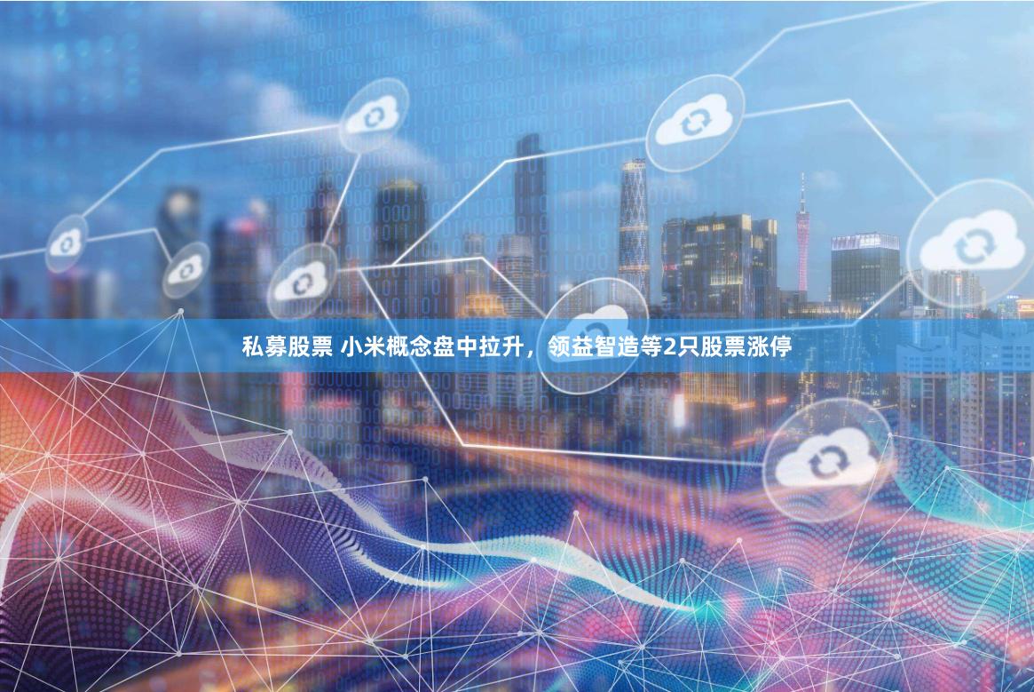 私募股票 小米概念盘中拉升，领益智造等2只股票涨停