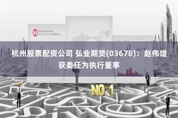 杭州股票配资公司 弘业期货(03678)：赵伟雄获委任为执行董事