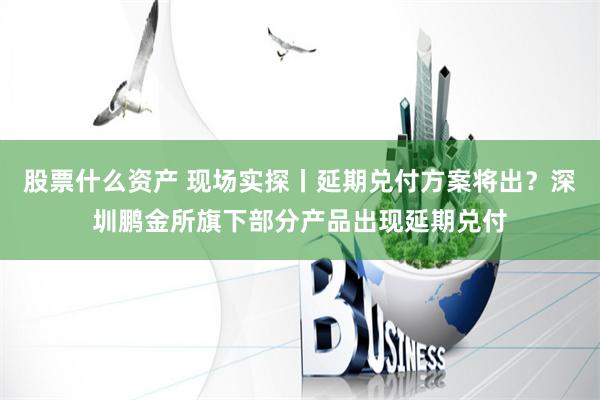 股票什么资产 现场实探丨延期兑付方案将出？深圳鹏金所旗下部分产品出现延期兑付